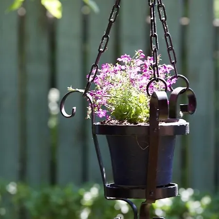 Meri ゲストハウス